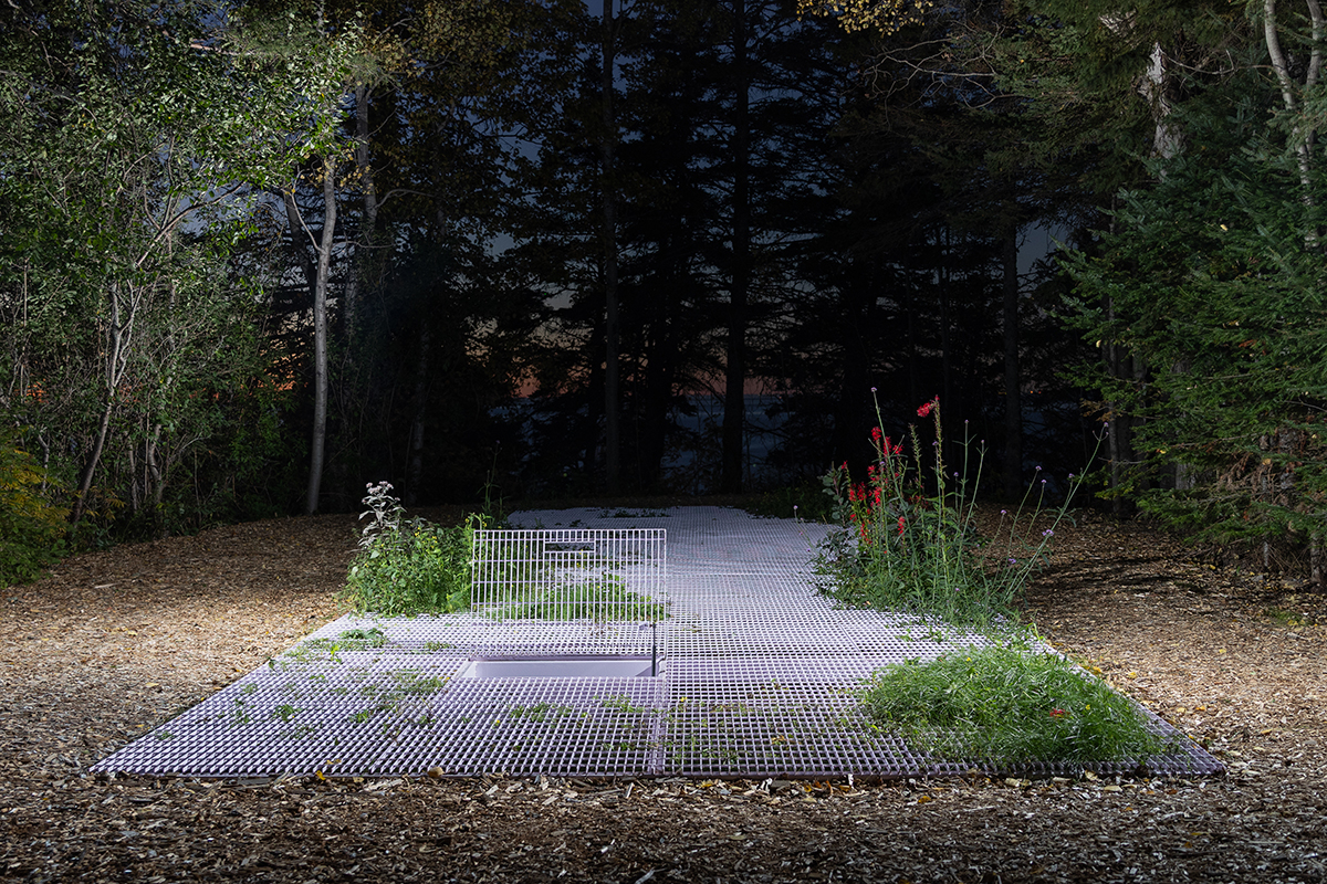 project photo day 96