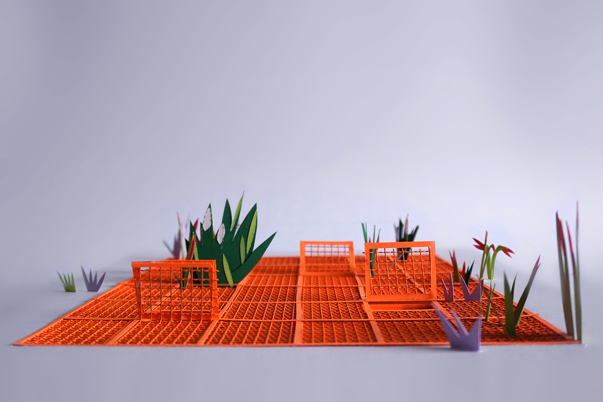 paper competition model