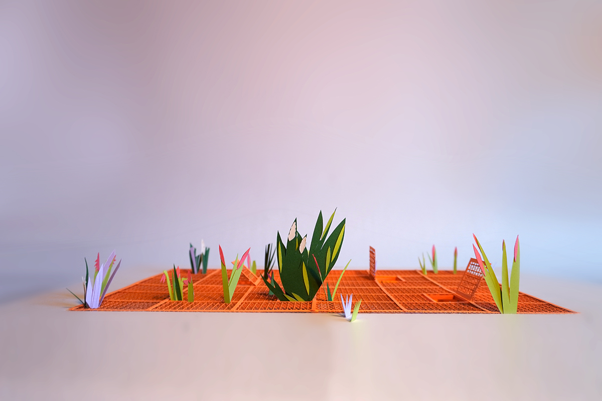 paper competition model